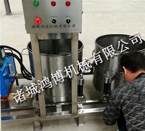诸城青梅压榨机