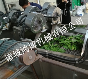 诸城中草药风干机
