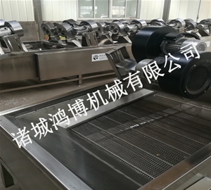 诸城清洗风干流水线
