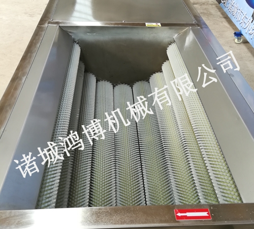 果蔬清洗去皮机