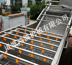 诸城人参清洗机