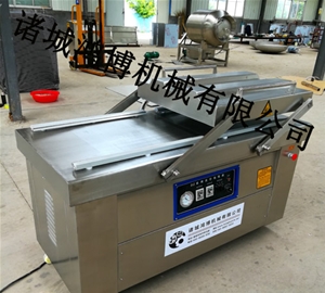诸城单双室真空包装机