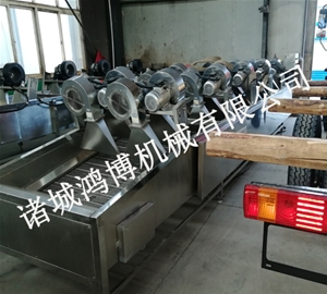 诸城异形果蔬风干机
