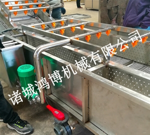 诸城海带清洗机
