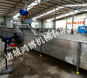 诸城鸡肉清洗机