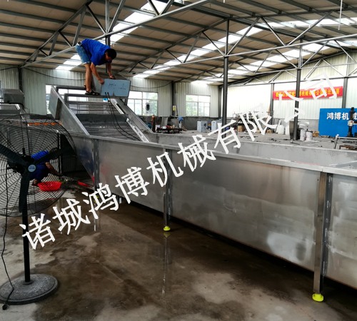 小型多功能果蔬清洗机