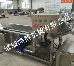 诸城西红柿气泡清洗机