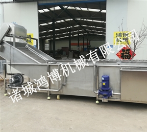 诸城大型商用蔬菜清洗机