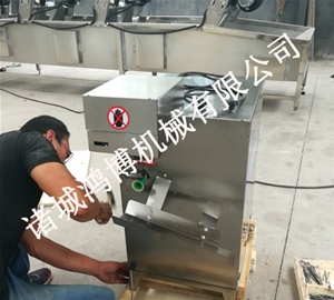 诸城饮料厂专用削皮设备